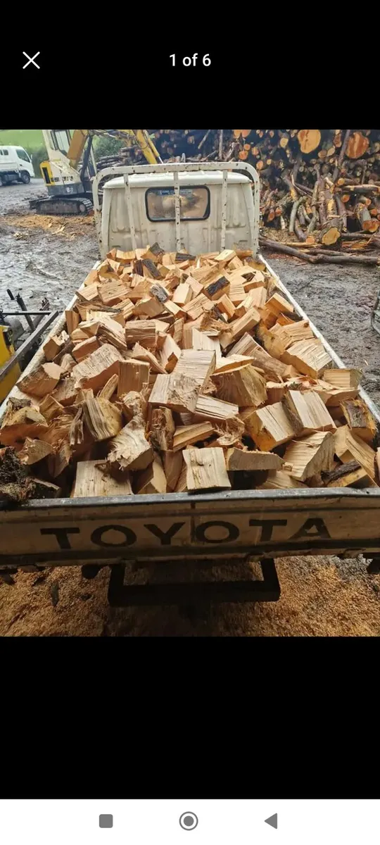 Hardwood/ softwood - Image 3