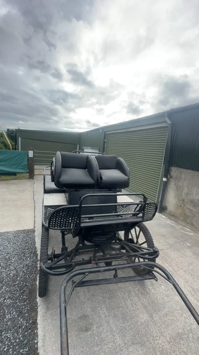 Carriage - Image 4