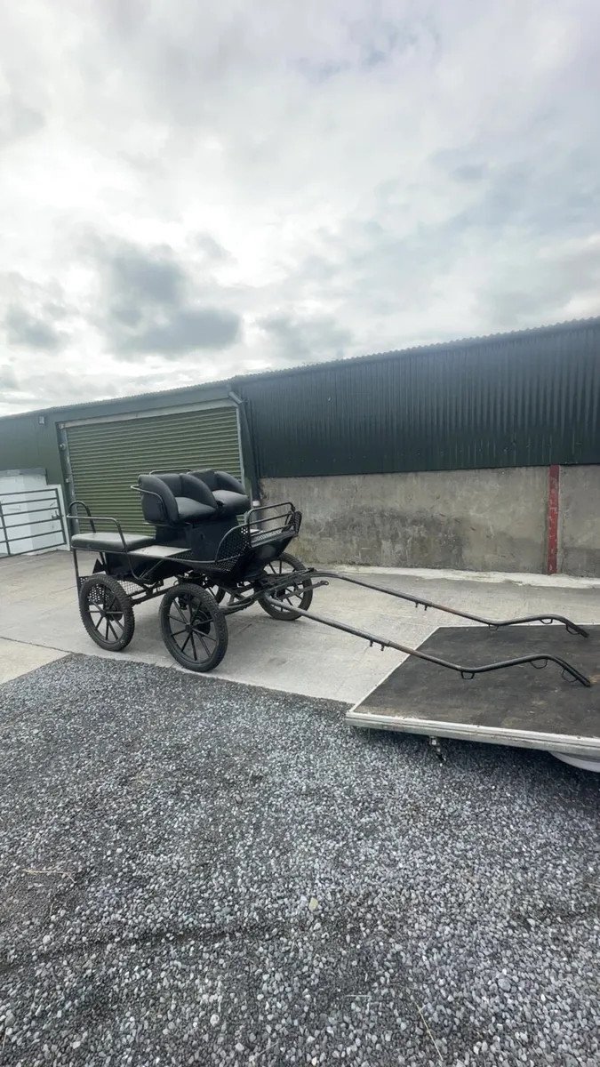Carriage - Image 1