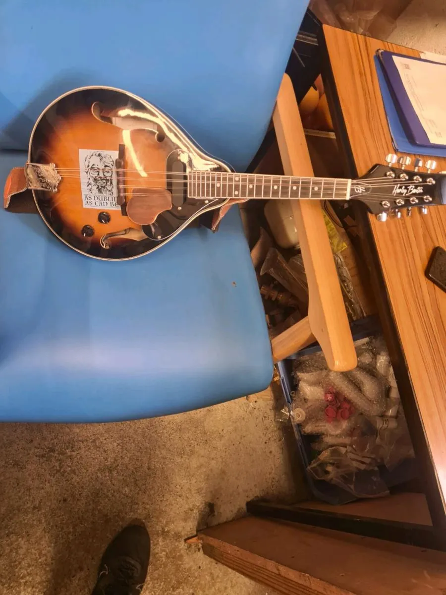 Mandolin - Image 2