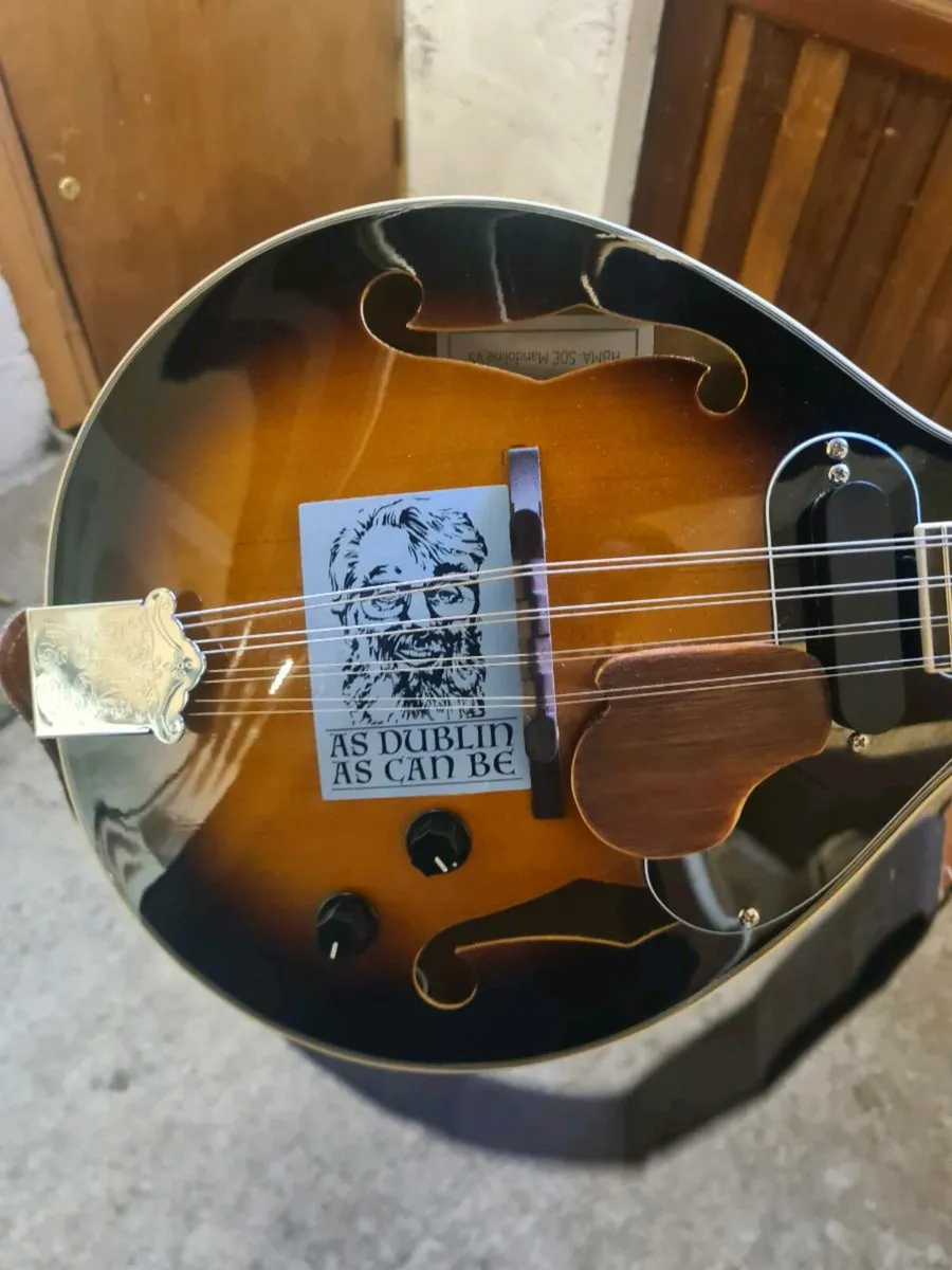 Mandolin - Image 3