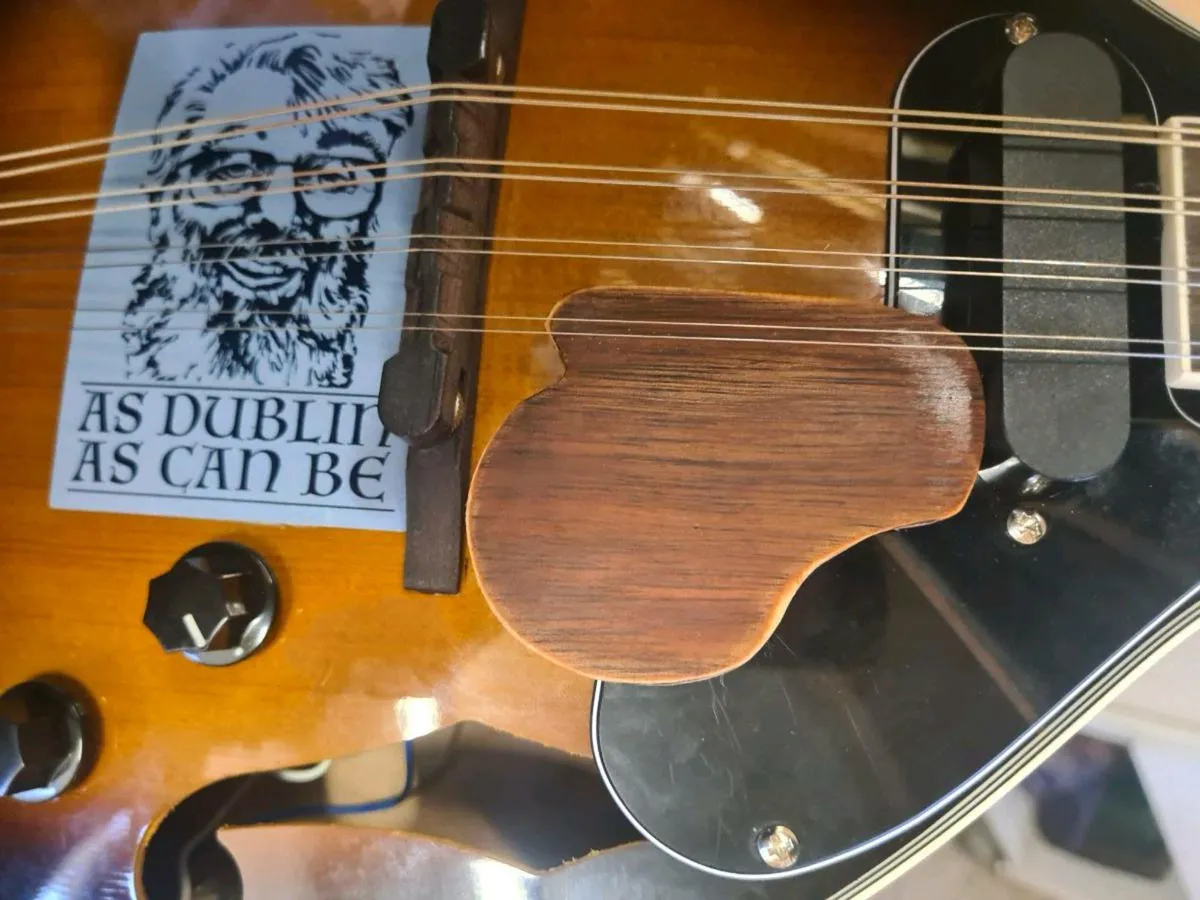 Mandolin - Image 4