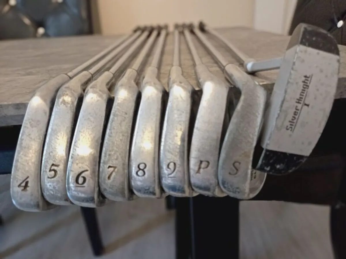 Regal Golf irons  and putter. Right handed clubs - Image 1