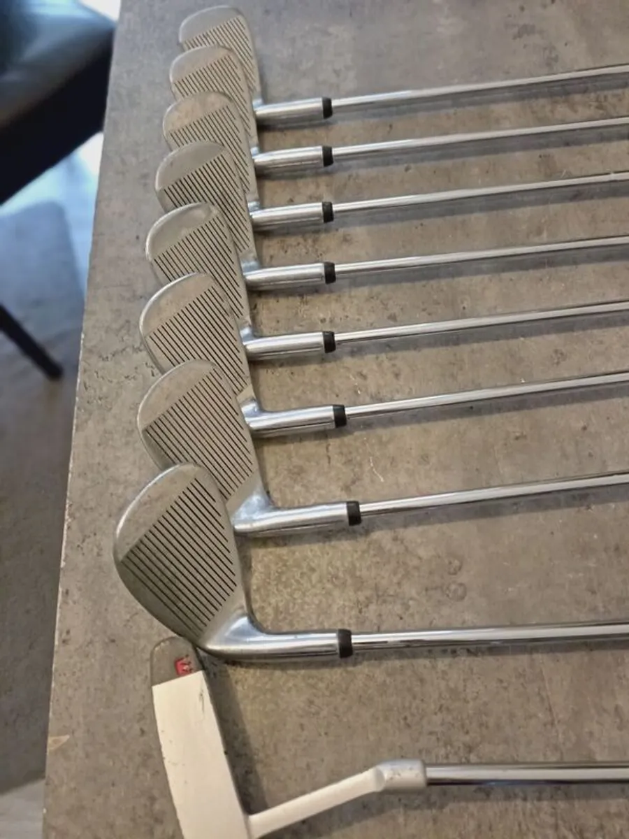 Regal Golf irons  and putter. Right handed clubs - Image 3