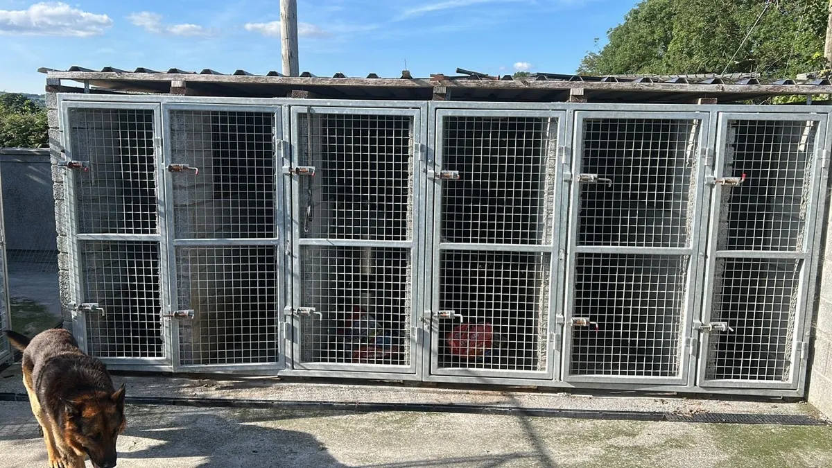 Kennel gates