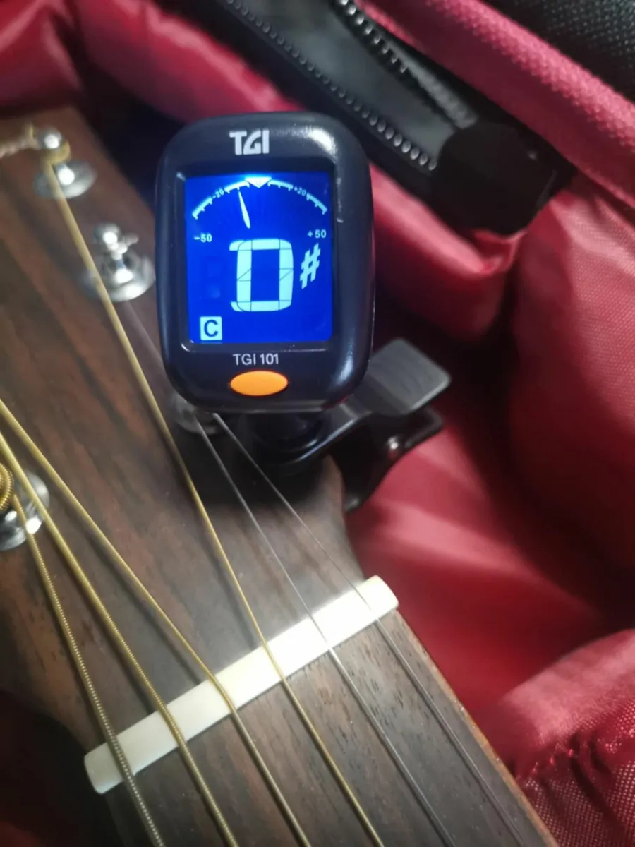 Mayson guitar ESM/10CE - Image 4