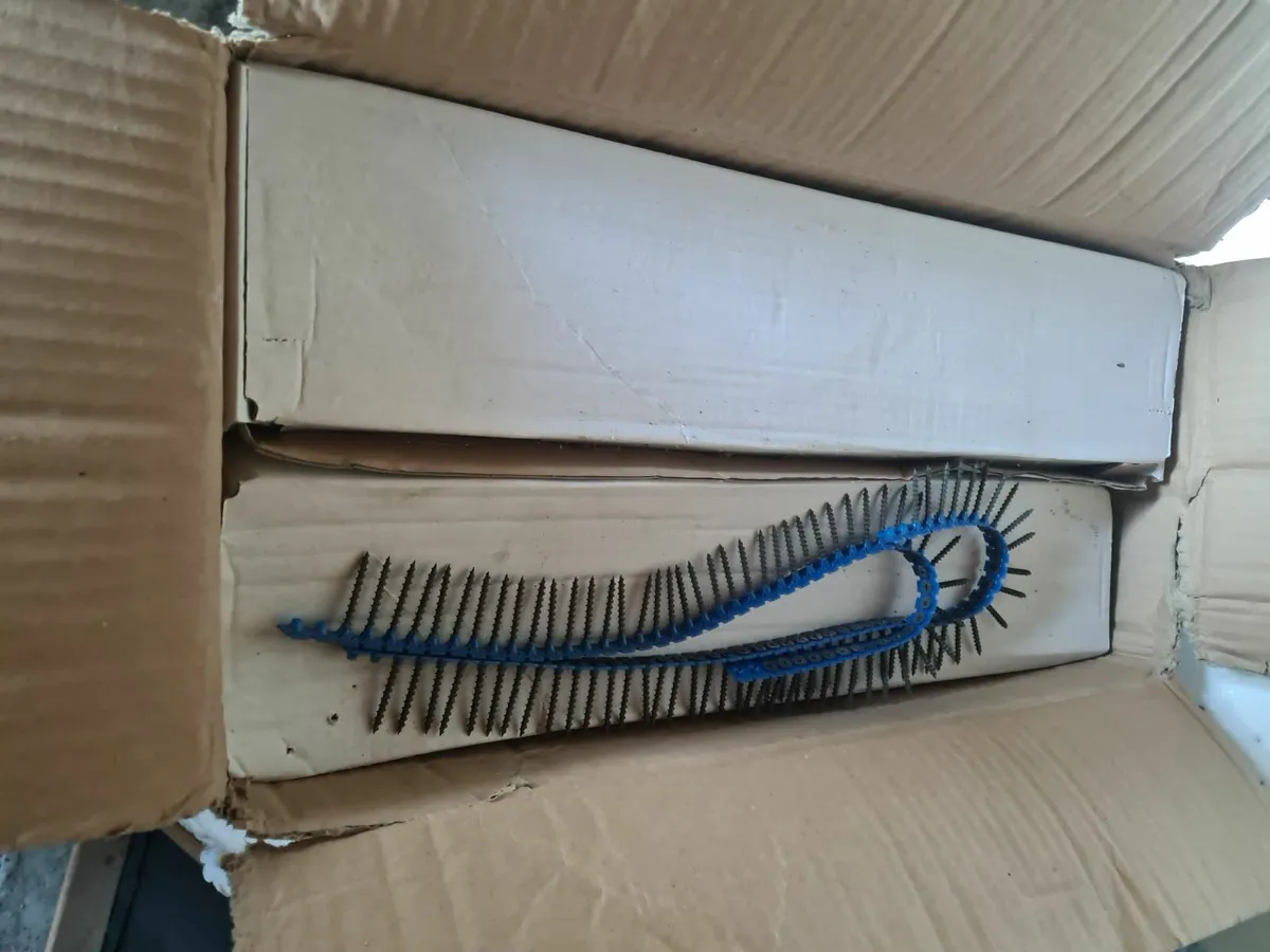 Dry Wall Screws Full Box - Image 4