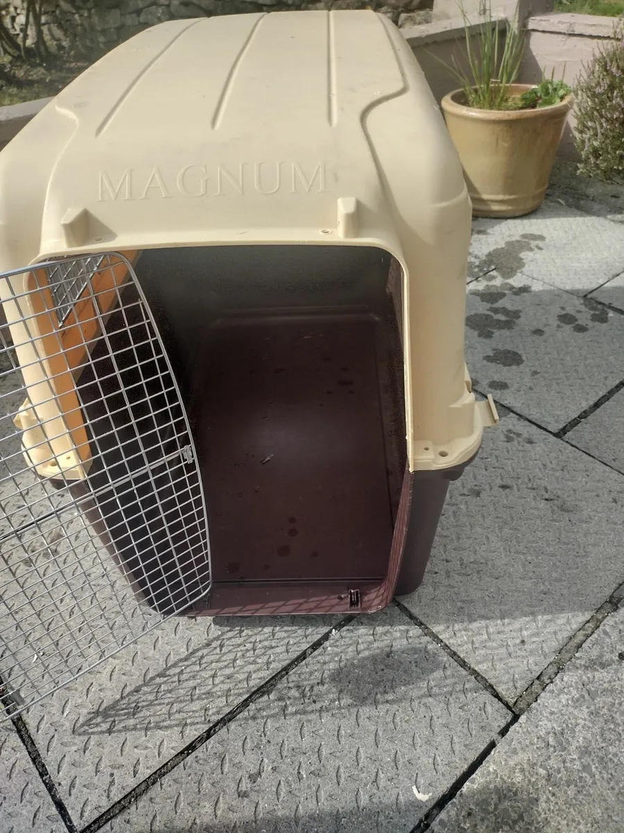 Dog travel crate XXL - Image 3