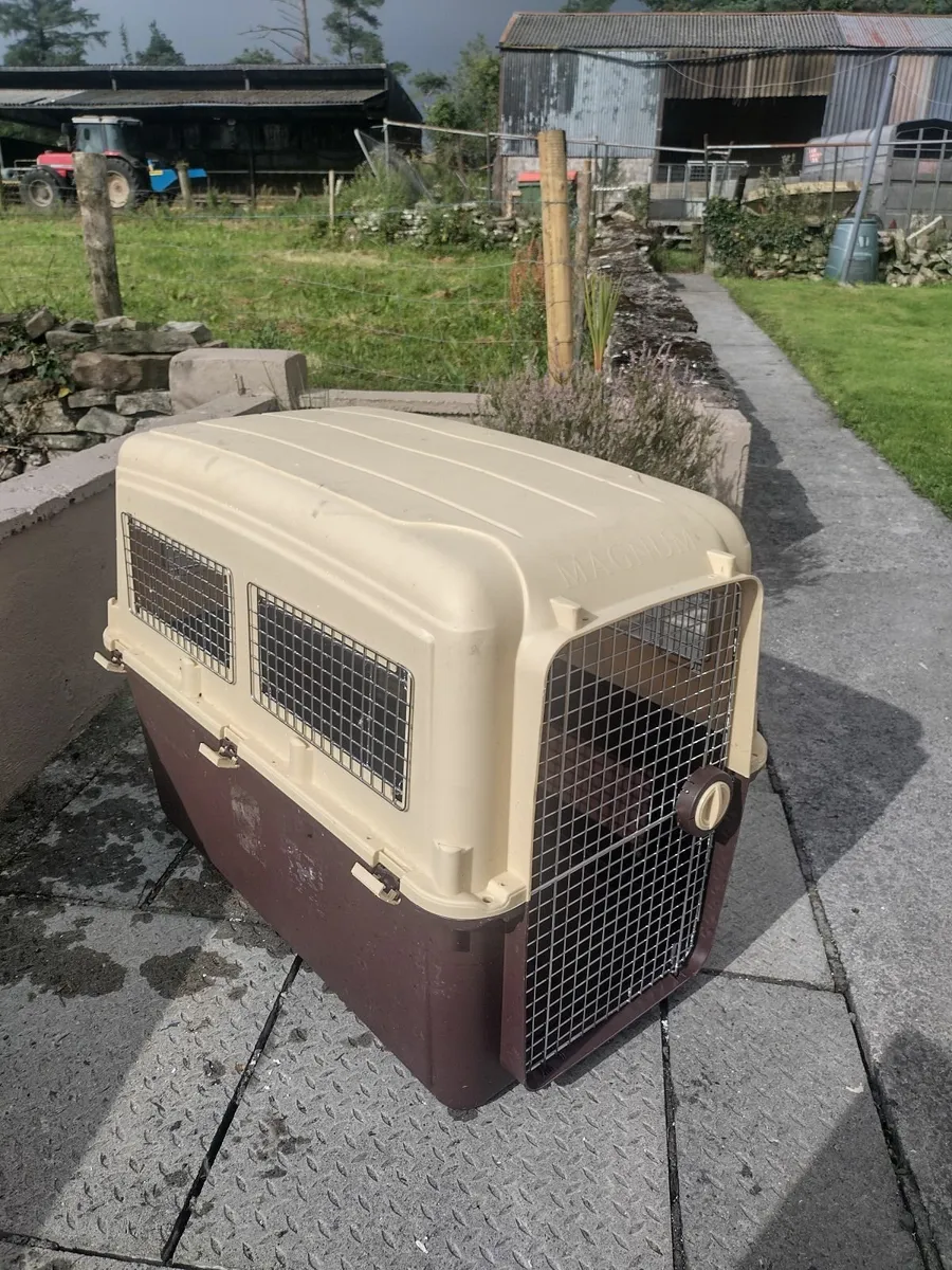 Dog travel crate XXL - Image 1