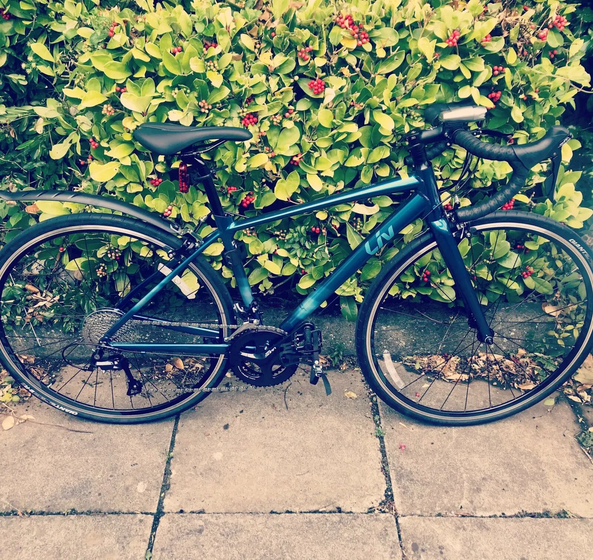 Giant Liv Women’s Road Bike XS Frame - Image 1
