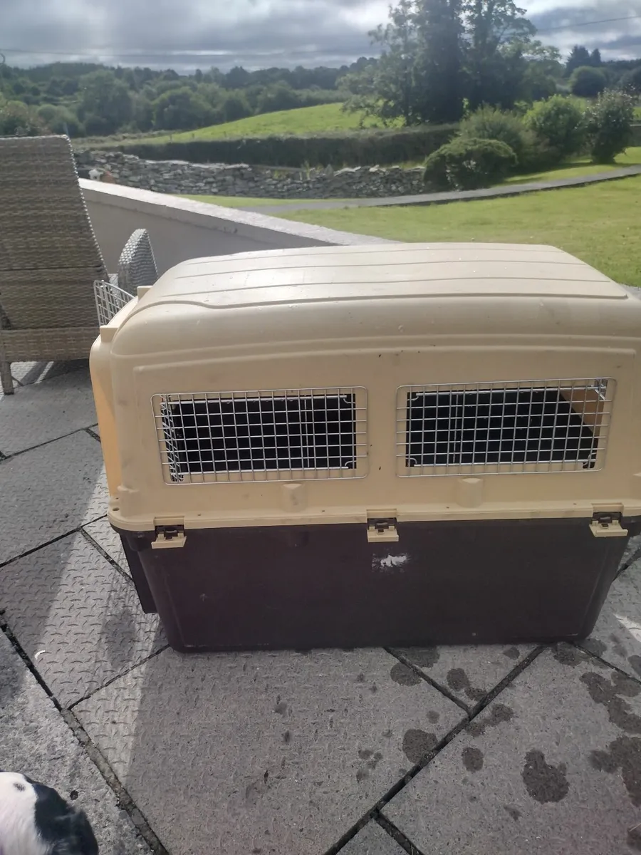 Dog travel crate XXL - Image 2
