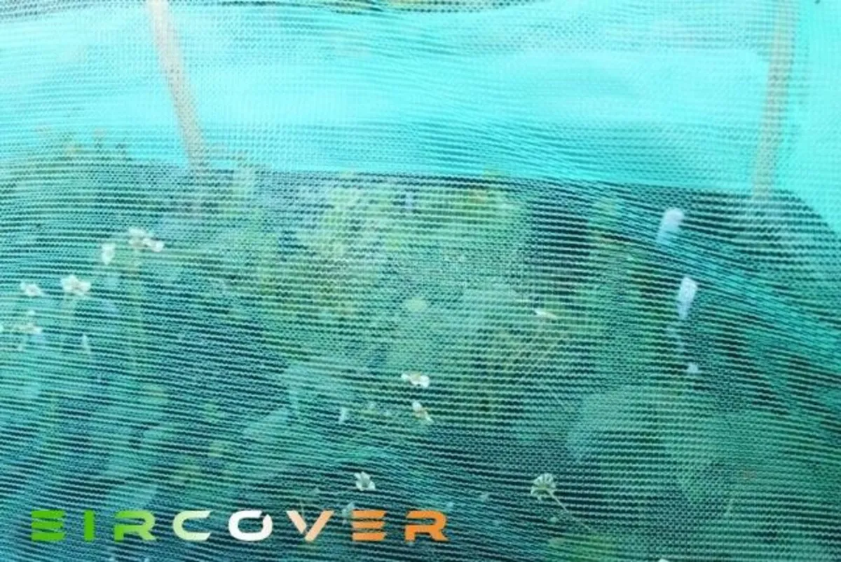 Windbreaker Netting  2m x20m 50 gsm Green Economy - Image 2