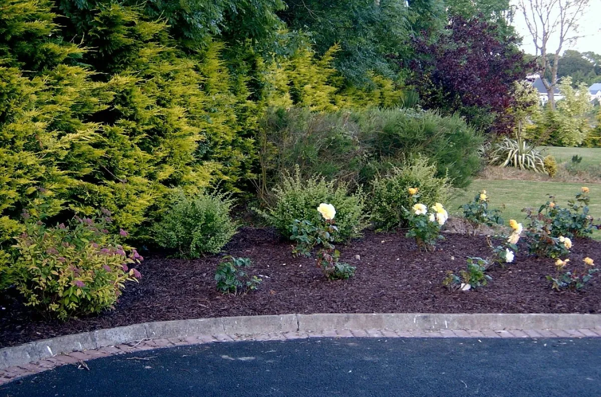 Garden Mulch - Image 2