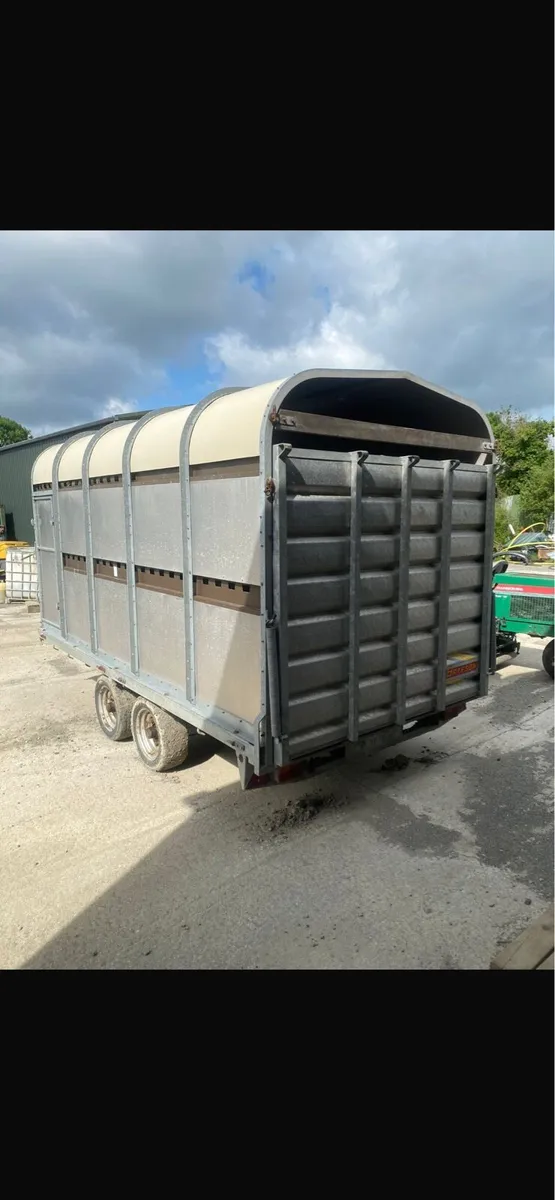Bateson cattle trailer - Image 2