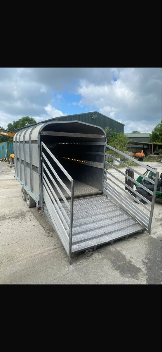 Bateson cattle trailer - Image 3