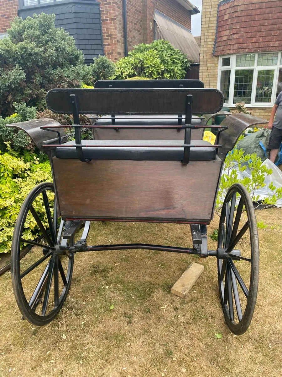 Horse and carriage - Image 2