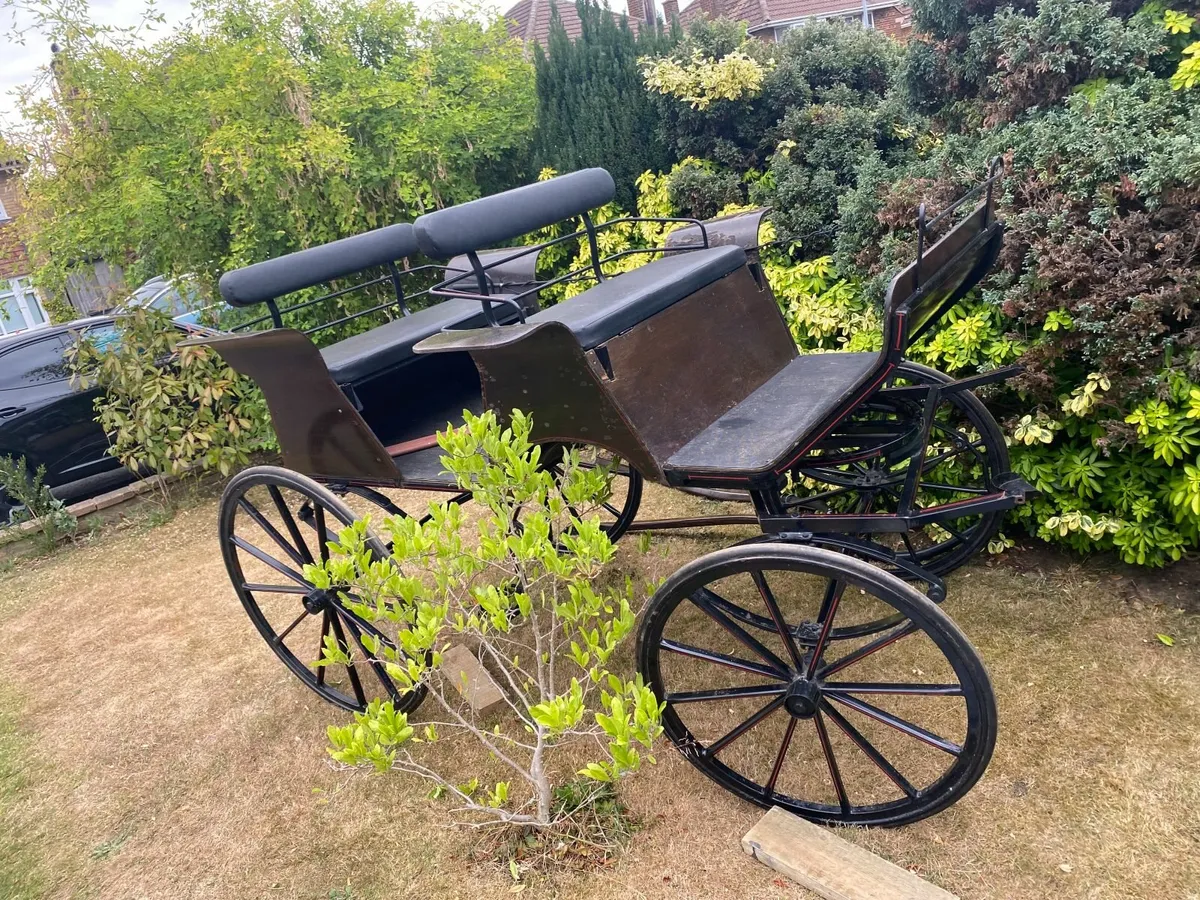 Horse and carriage - Image 4