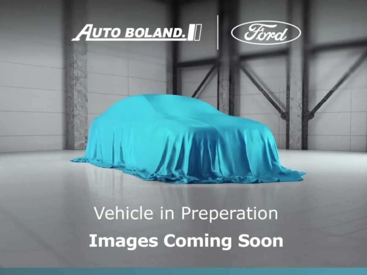 Ford Transit 2.0l Ecoblue 105PS 6-speed Manual FWD
