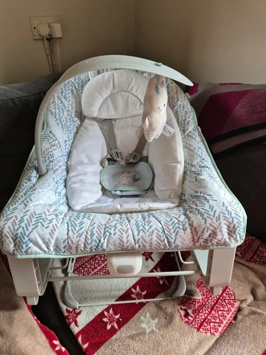 Baby bouncy chair