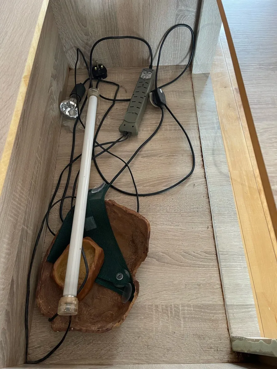 Custom Reptile Tank - Image 3