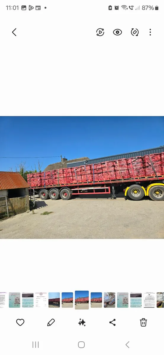 Firewood - Image 1