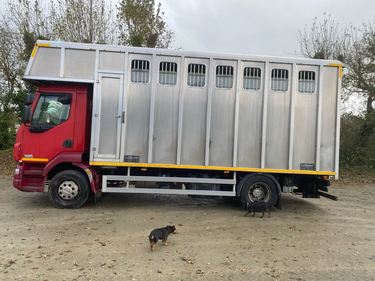 Daf 6 horse Lorry - Image 1