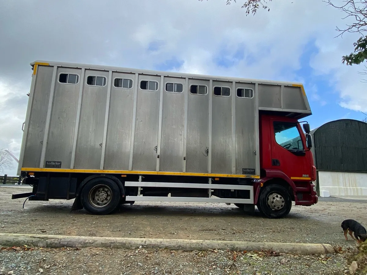 Daf 6 horse Lorry - Image 3