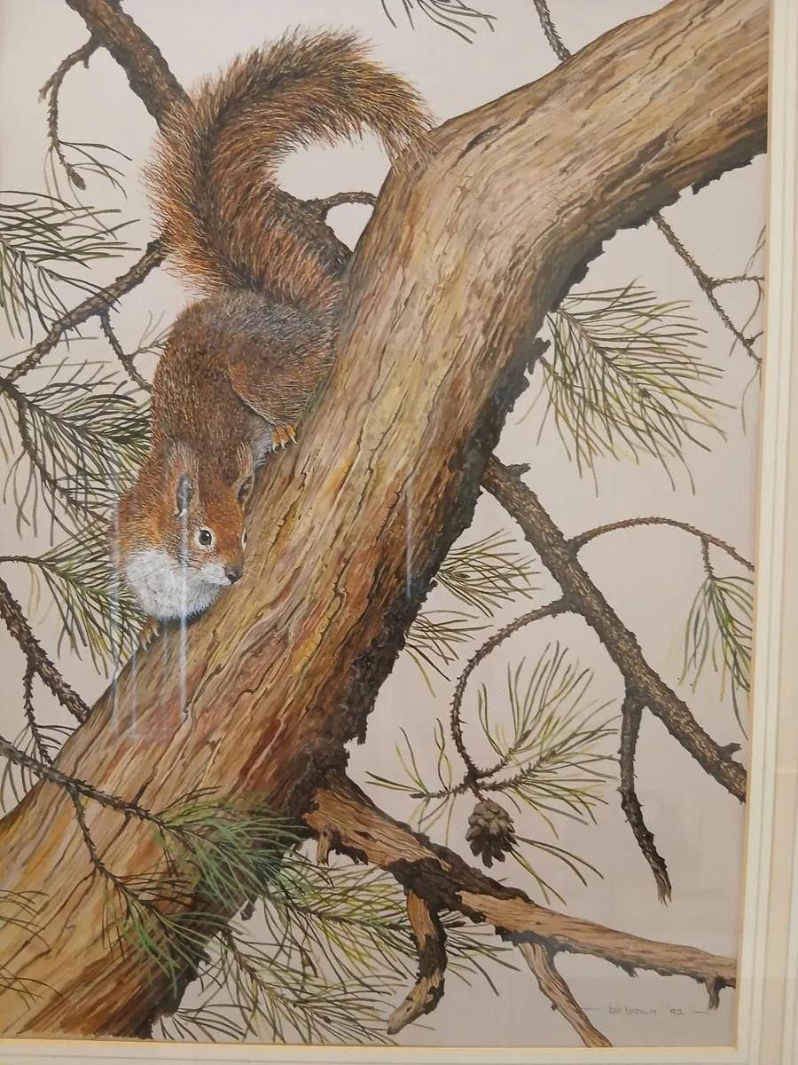 Watercolours - Image 3