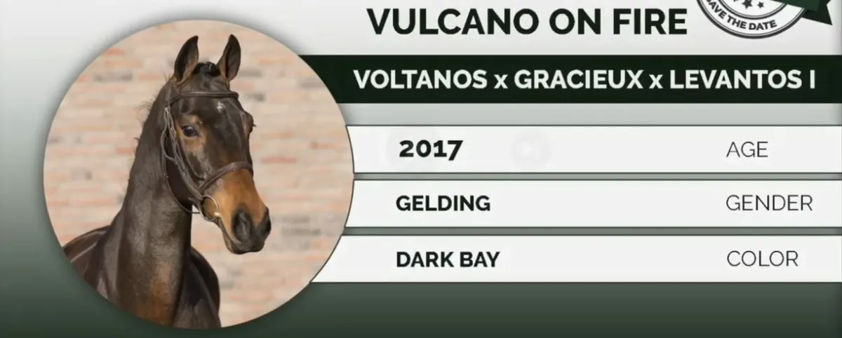 Vulcano on fire - Image 4