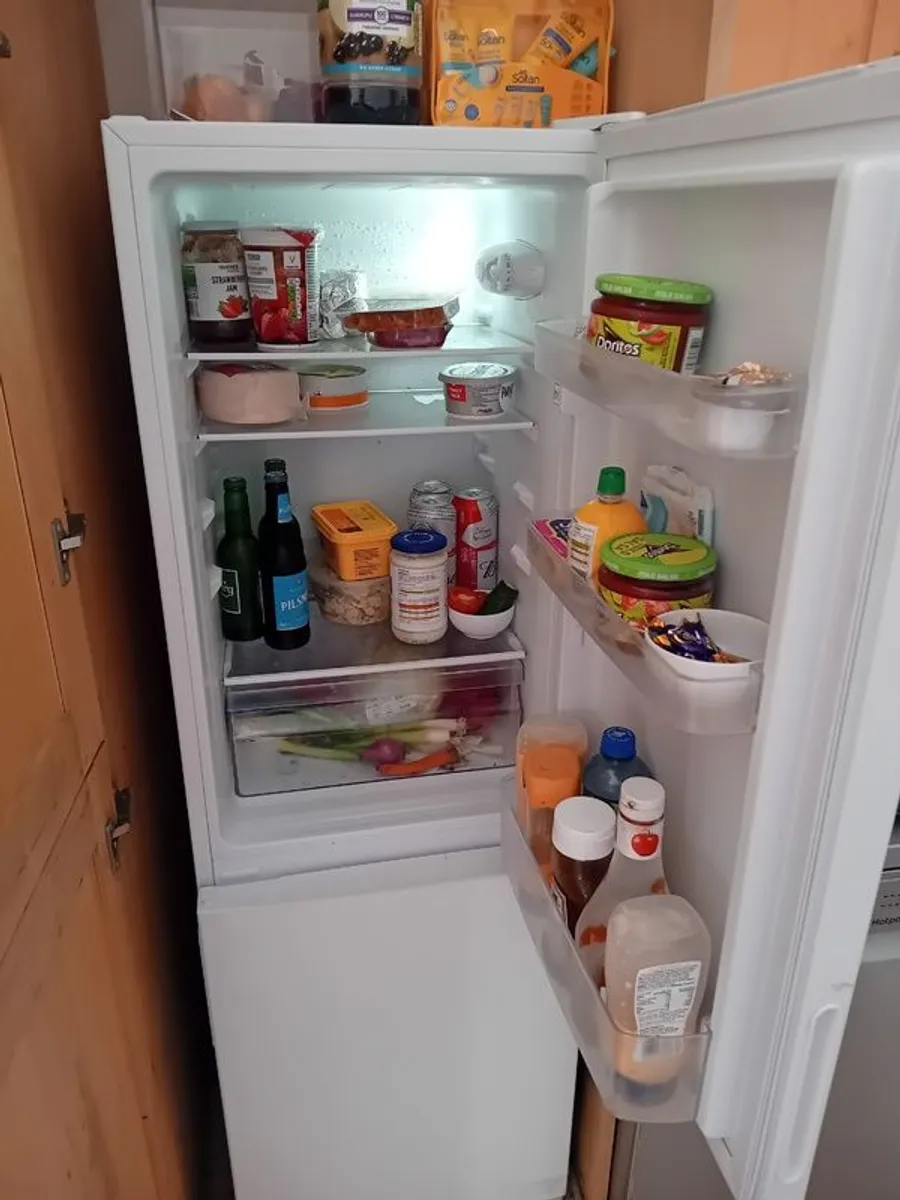 Fridge - Image 2