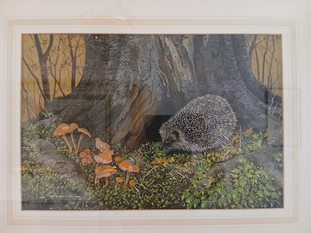 Watercolours - Image 4