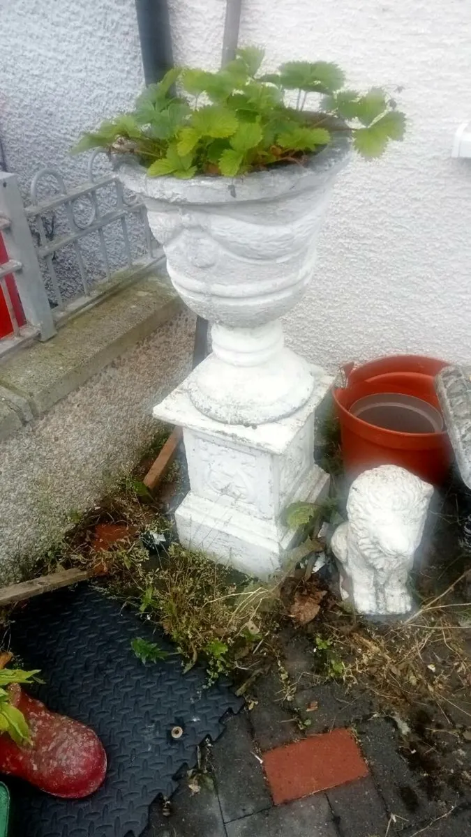 Planter's - Image 2