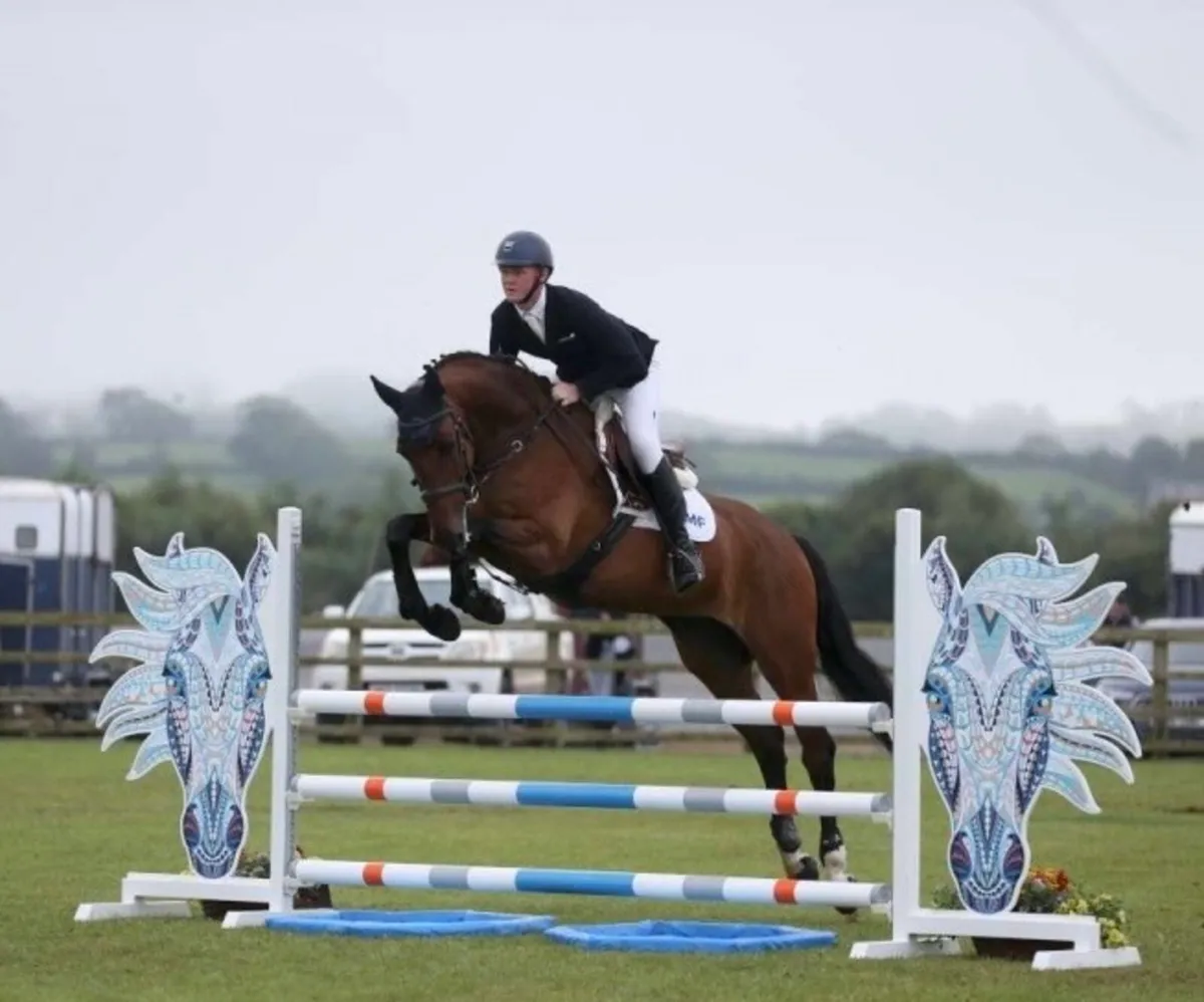 Showjumping Schoolmistress - Image 2