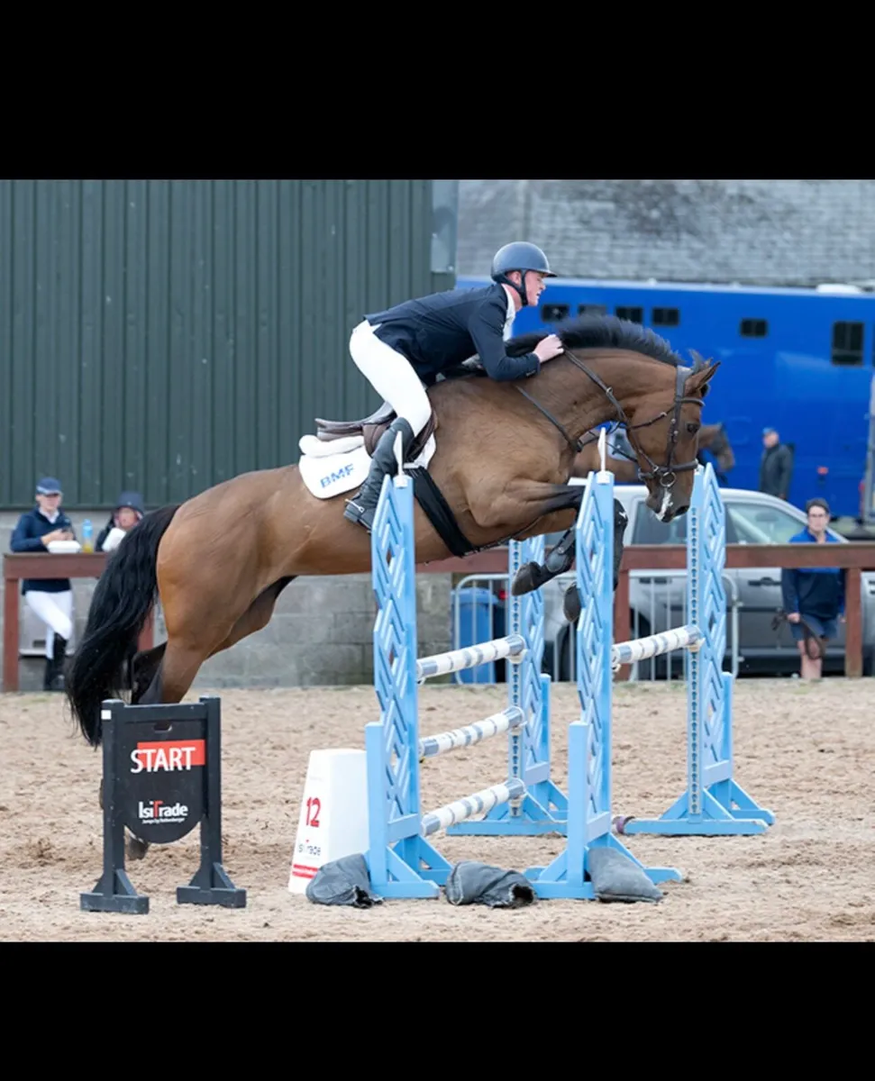 Showjumping Schoolmistress - Image 1