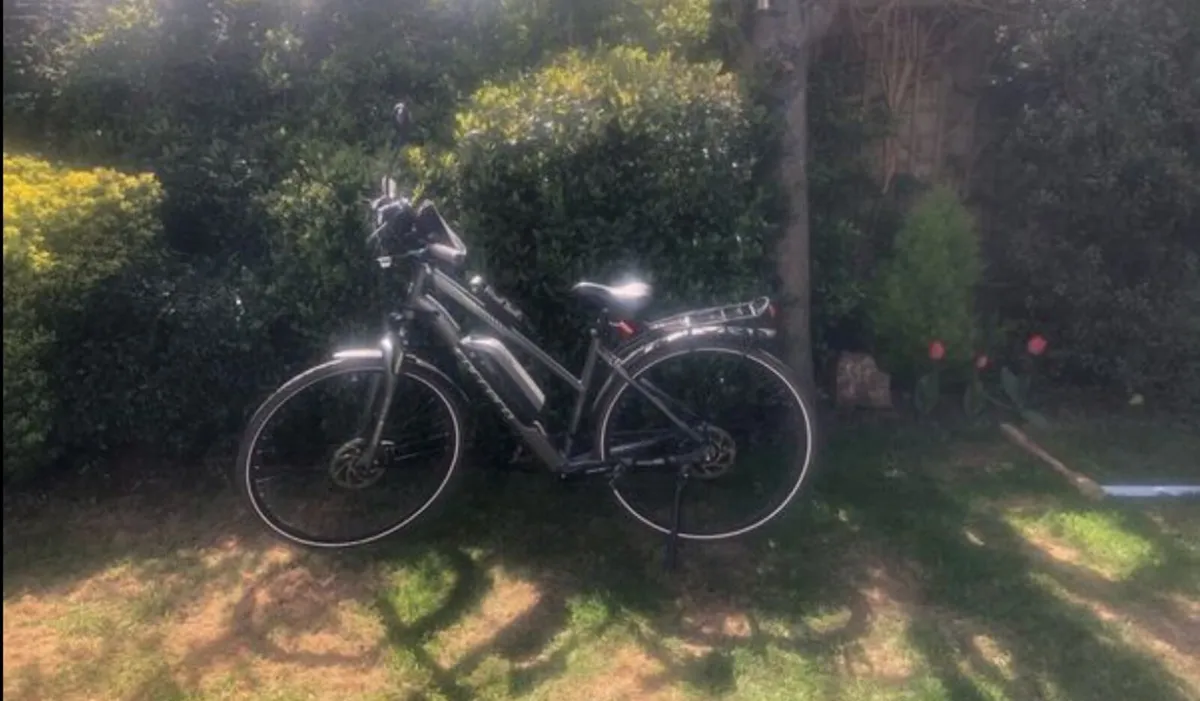 Electric Bike - Image 1