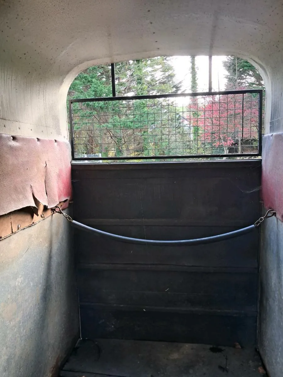 Horse Box - Image 4