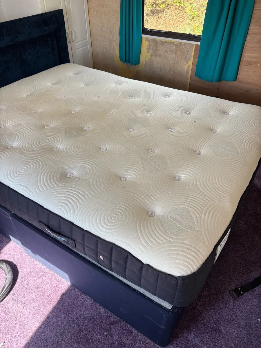Bed, Bed Base, Head Board - Image 2