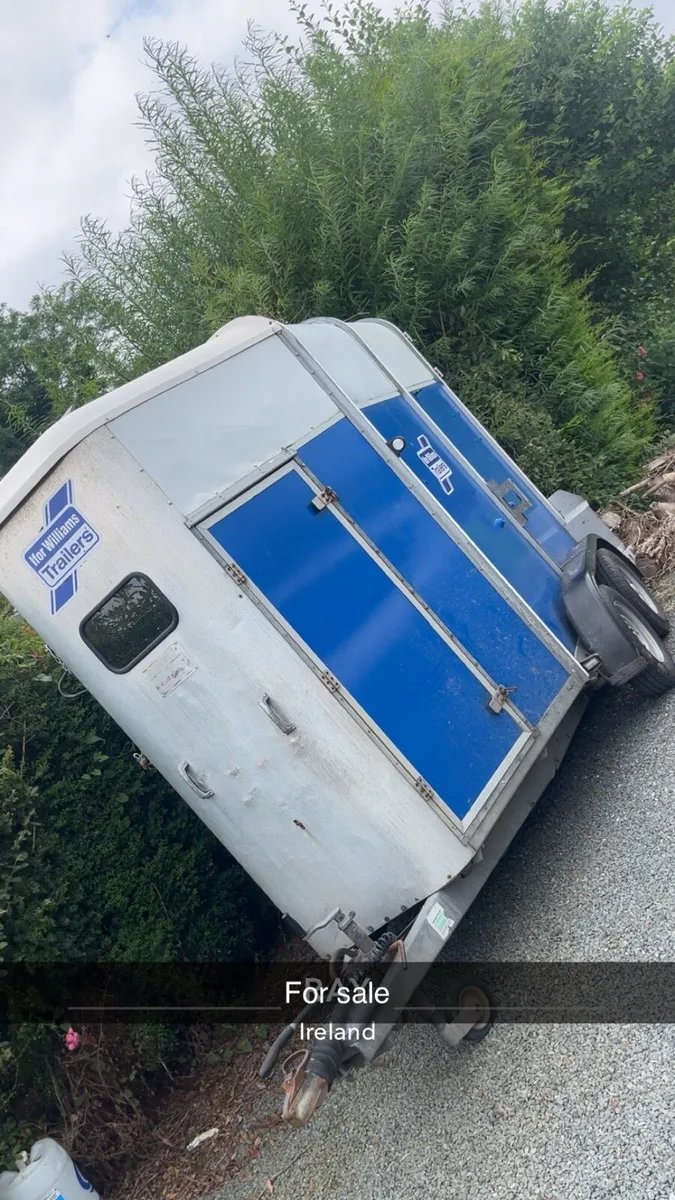Horse box - Image 2