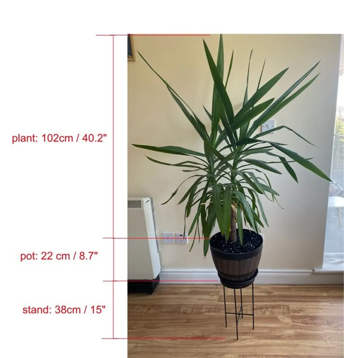 Indoor plants with pots - Image 3