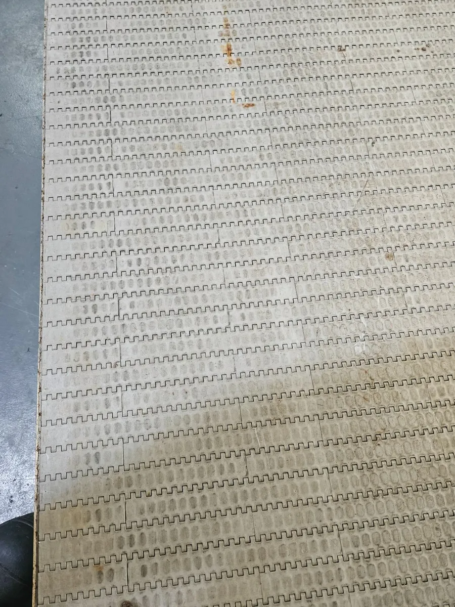 Conveyor belt - Image 2