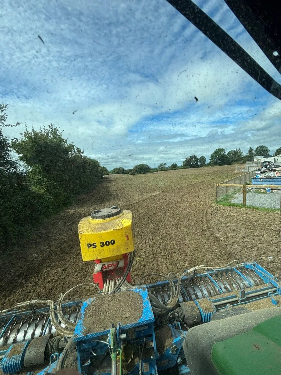 Grass reseeding - Image 1