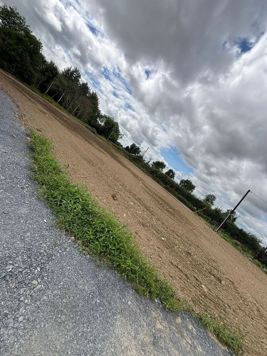 Grass reseeding - Image 2