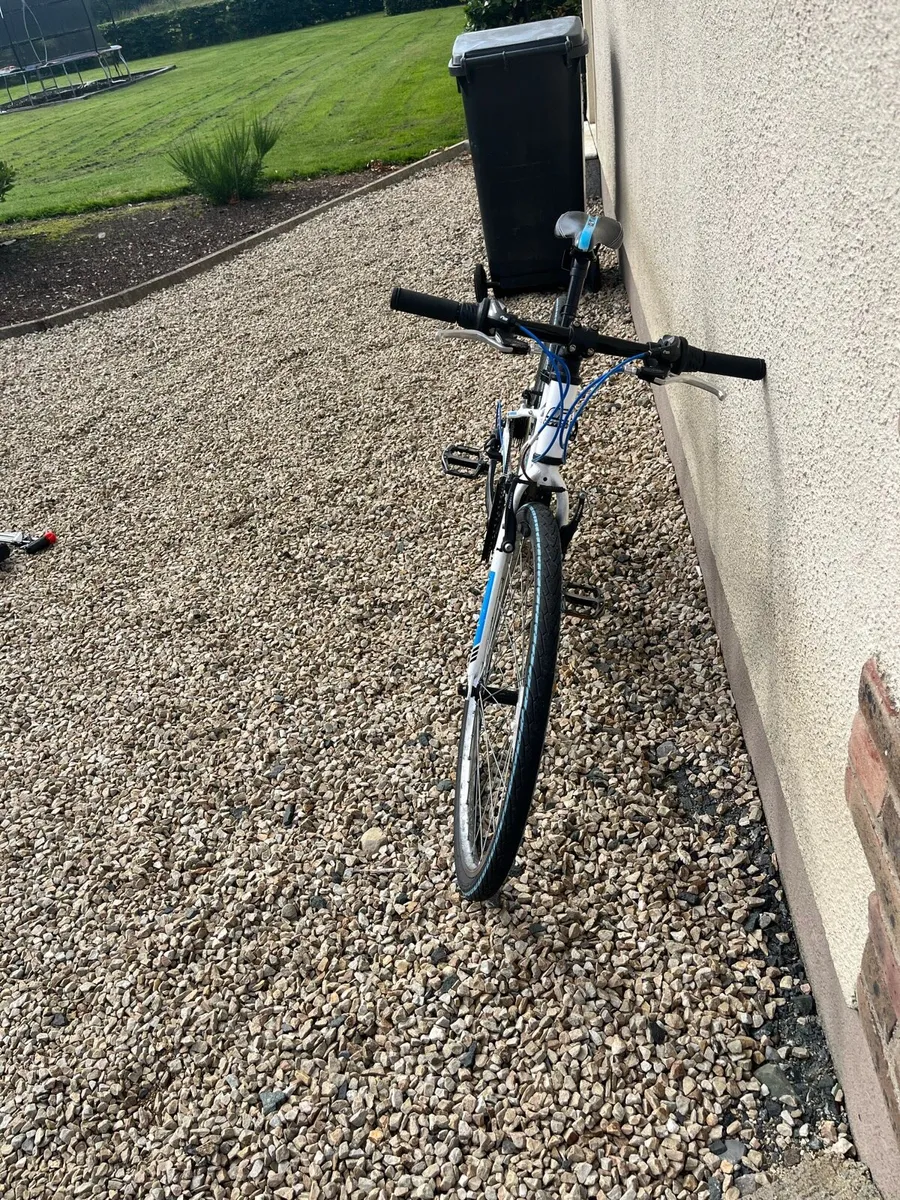 Junior Hybrid Carrera Bike - Image 1