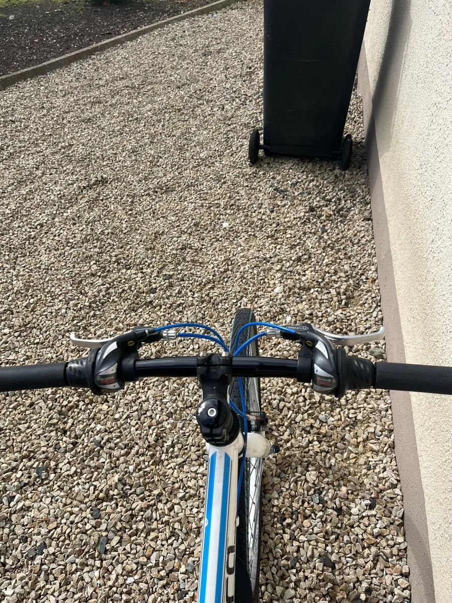 Junior Hybrid Carrera Bike - Image 3