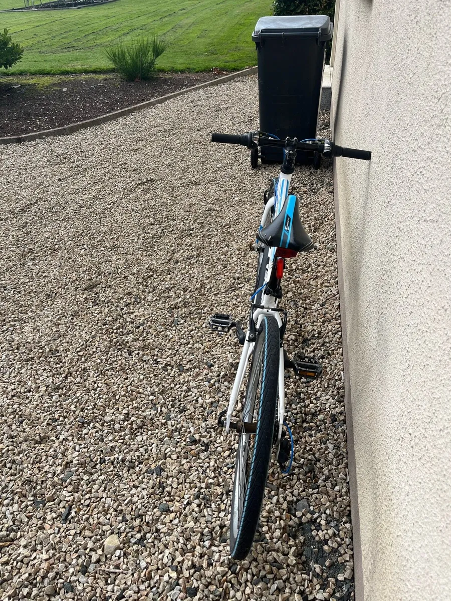 Junior Hybrid Carrera Bike - Image 4