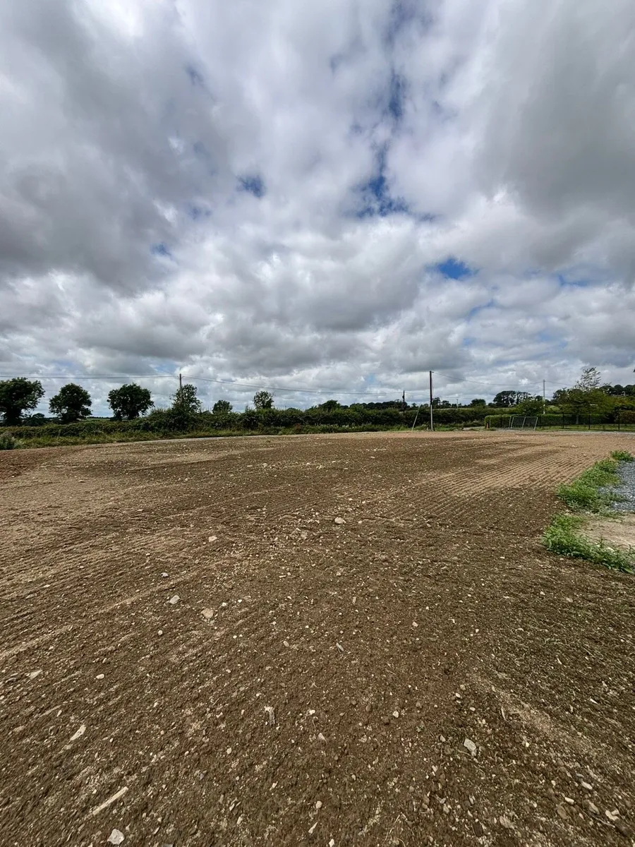 Grass reseeding - Image 3