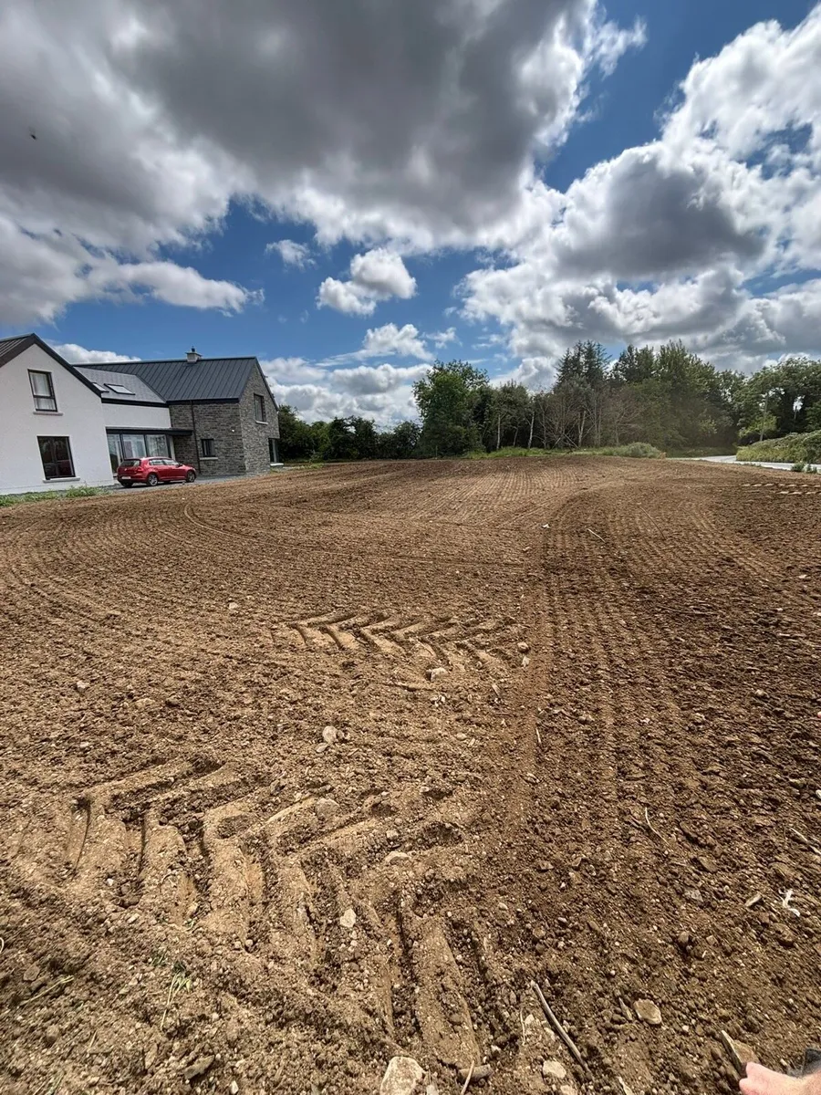 Lawn sowing - Image 1