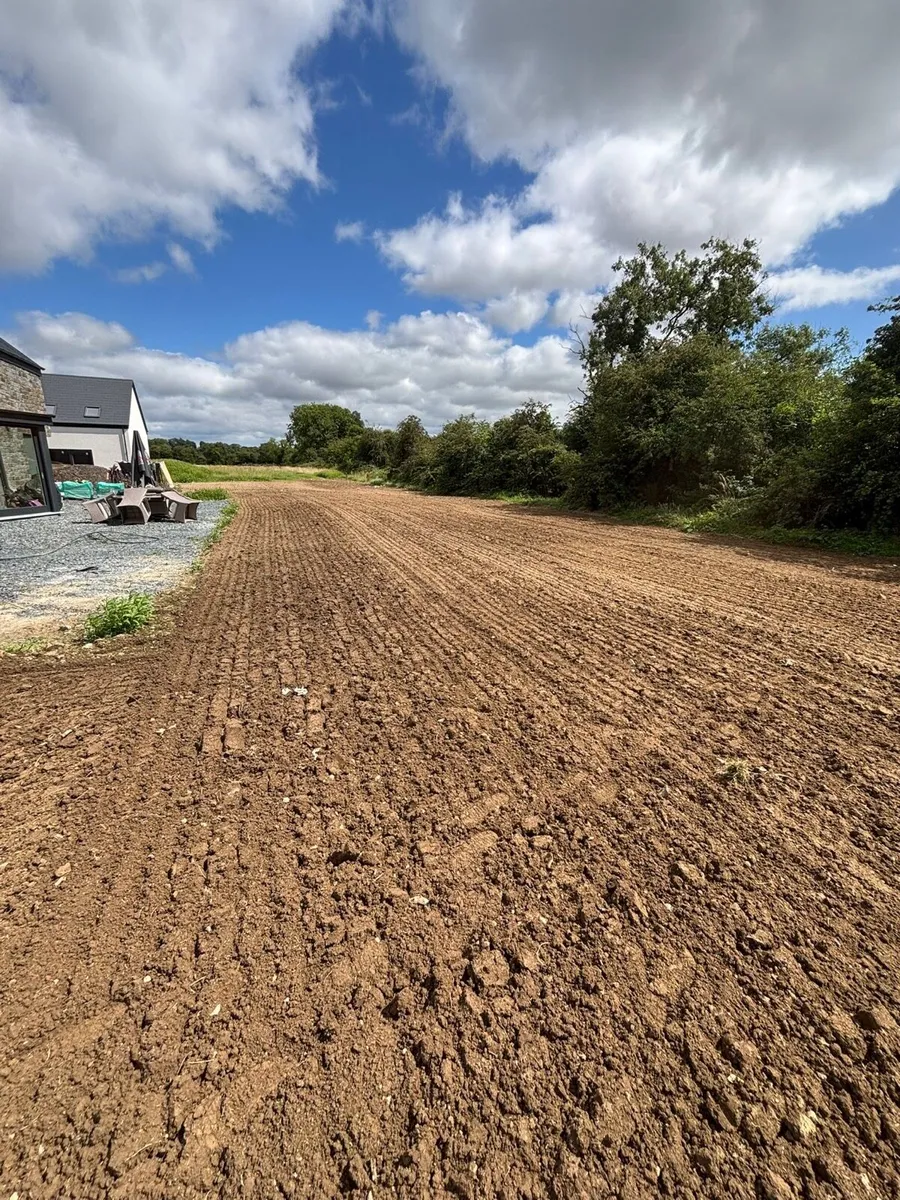 Lawn sowing - Image 2