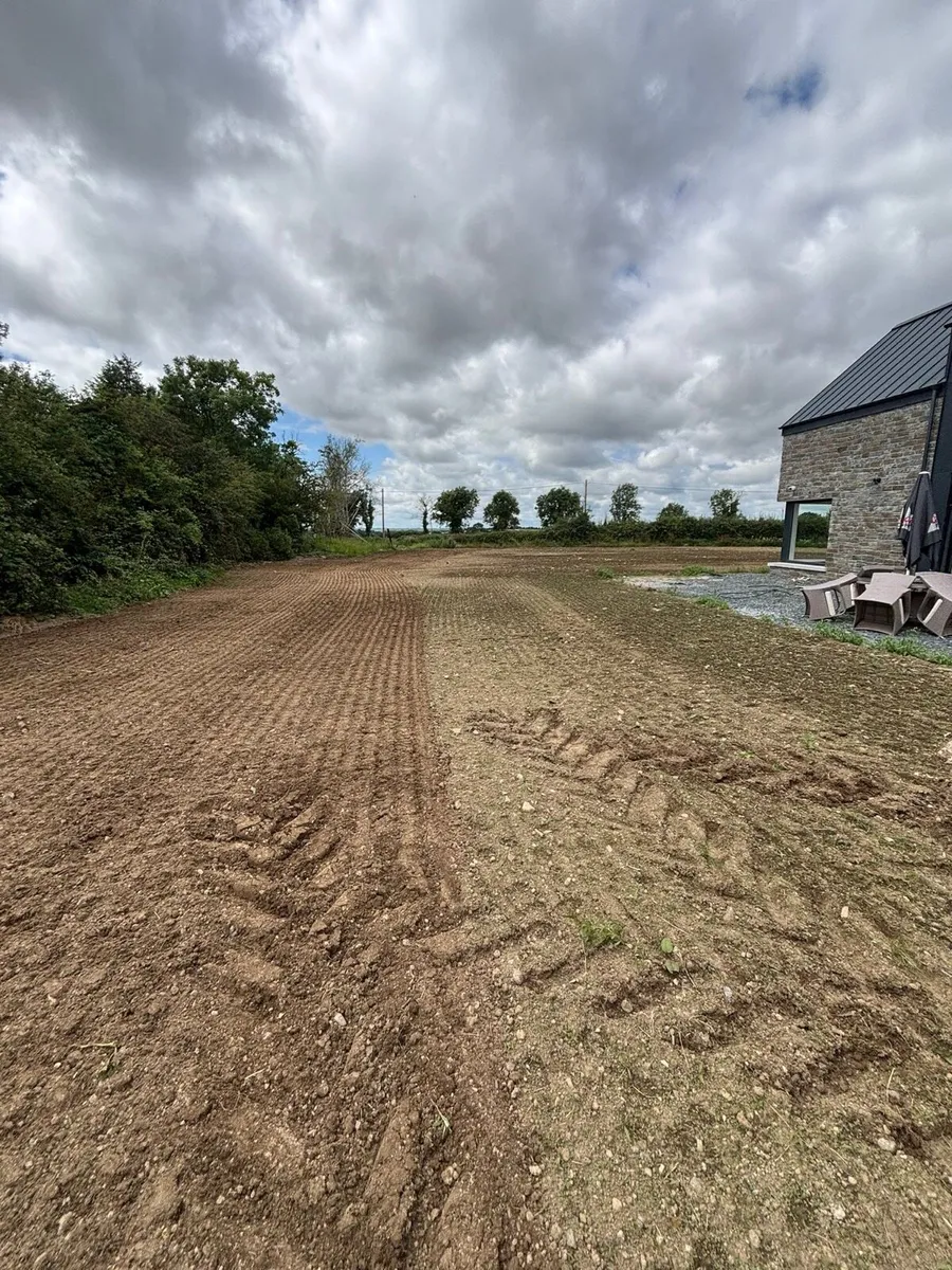 Lawn sowing - Image 4