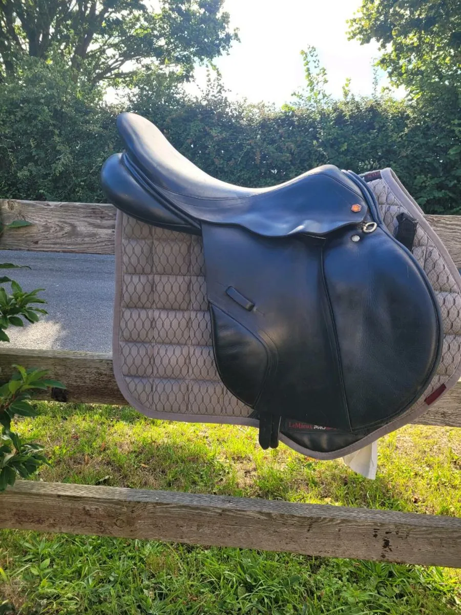 18" Albion saddle - Image 3